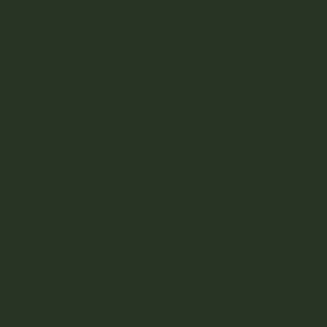 Цвета RAL - 14807